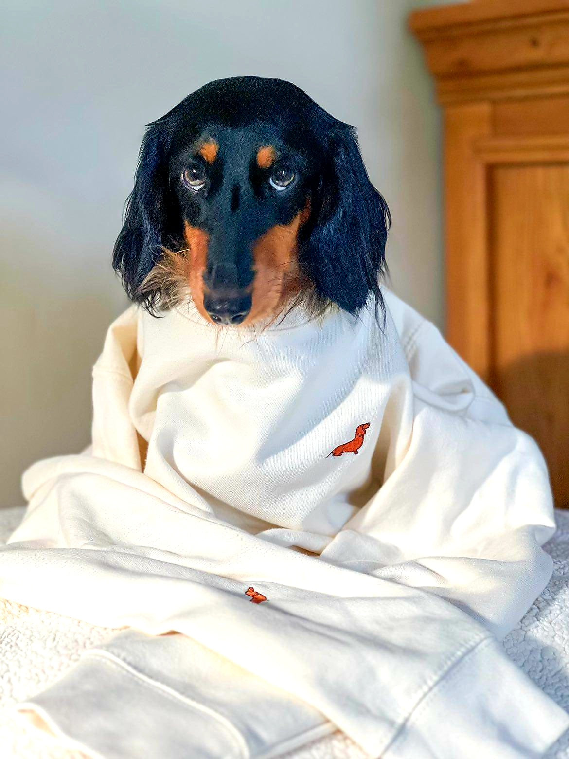 Limited Edition - Dachshund Timeless Crew